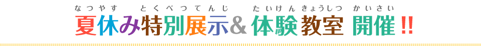 夏休み特別展示