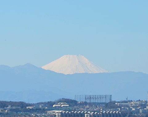 天気の良い日には、数の部屋からテラス越しに富士山が見える。